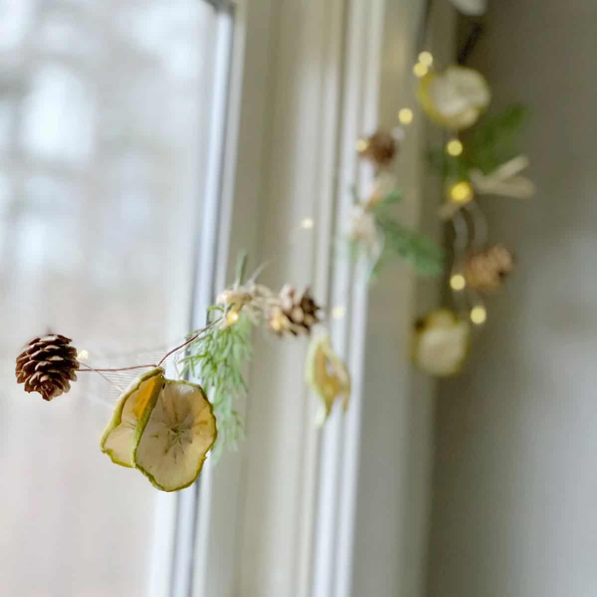A dainty dried fruit garland made from dried green apples, faux greens, pinecones, raffia and twinkle lights.