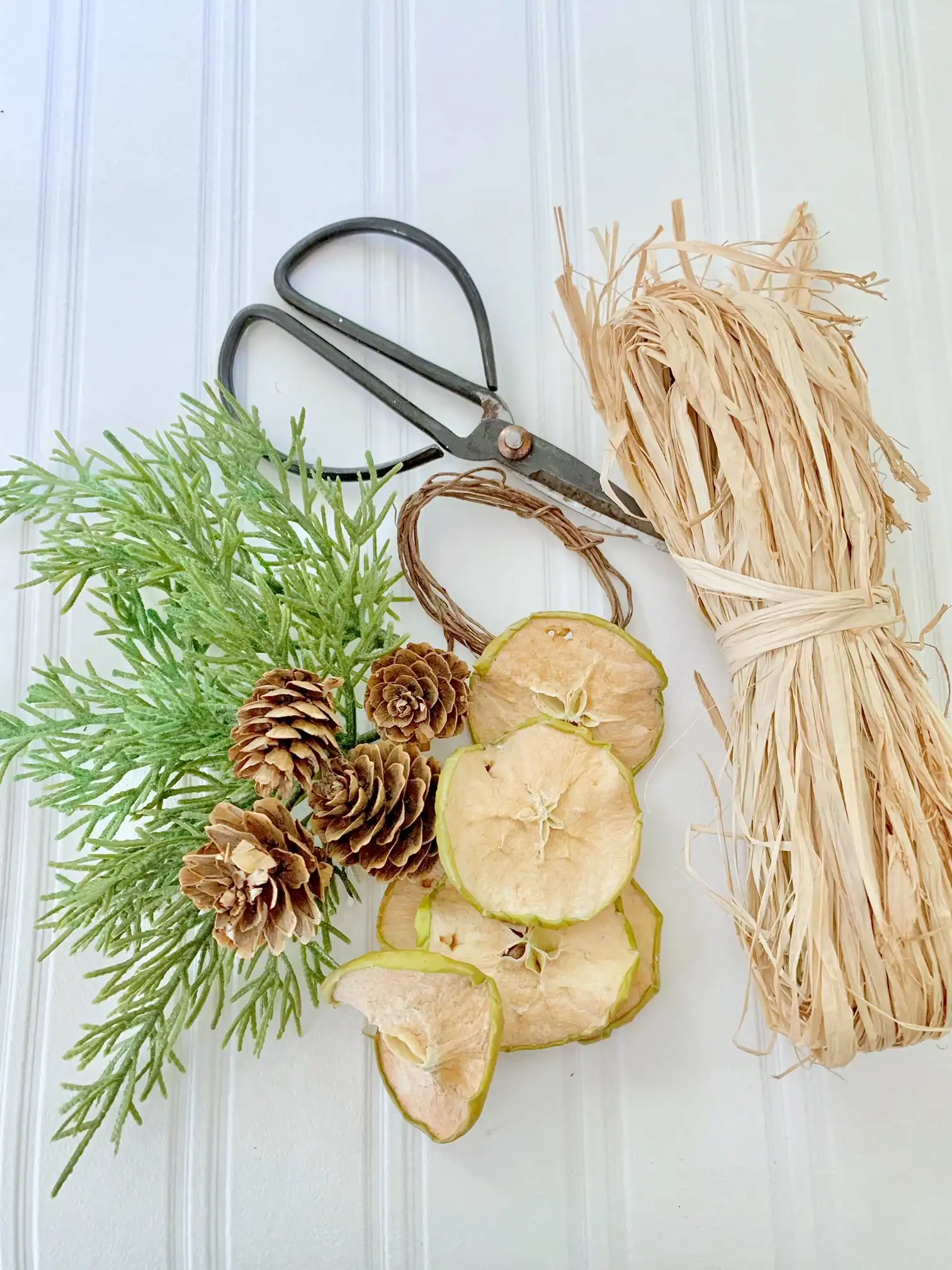 The supplies needed for this dried fruit garland.