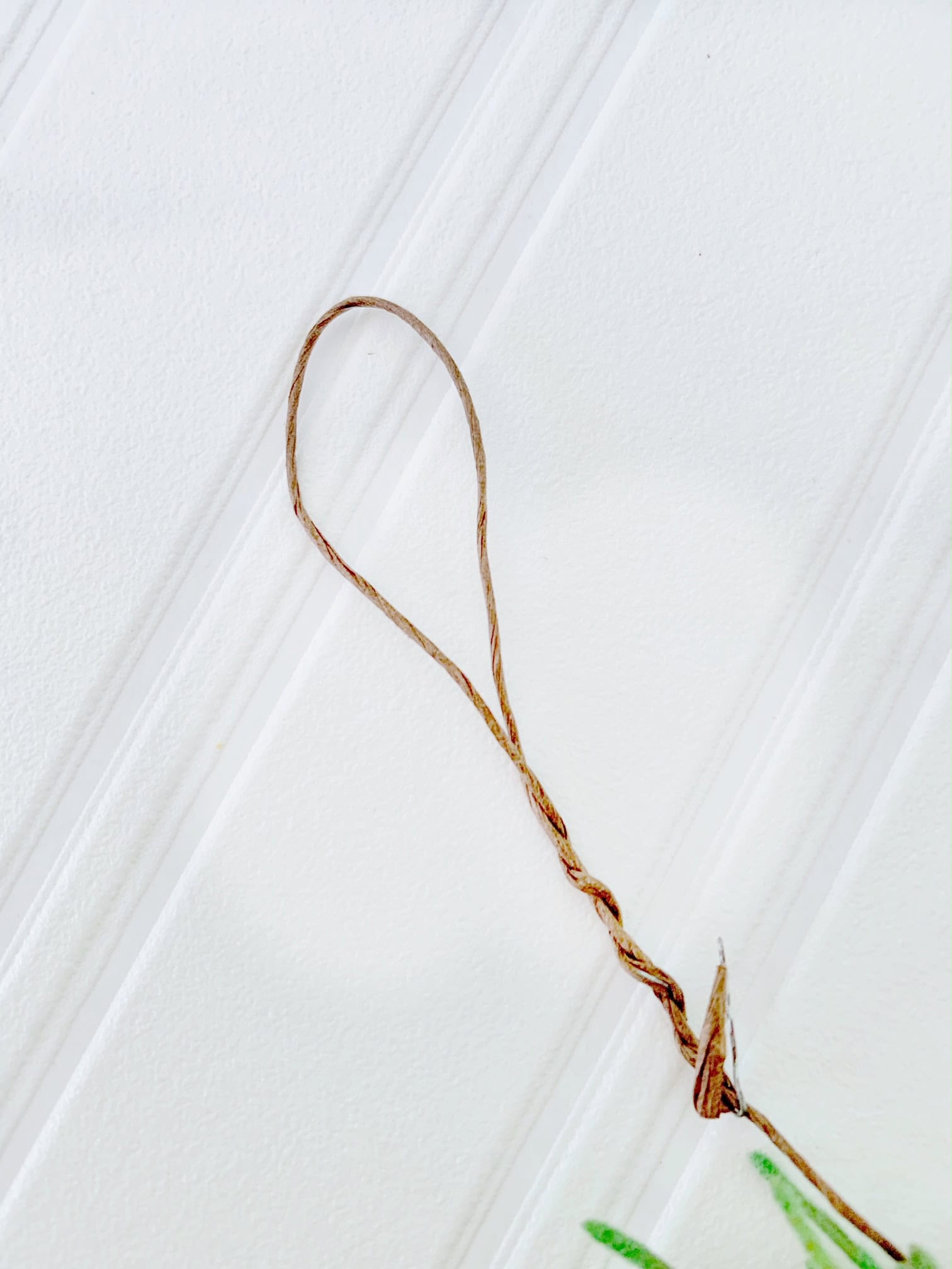 Loop made with the wire.