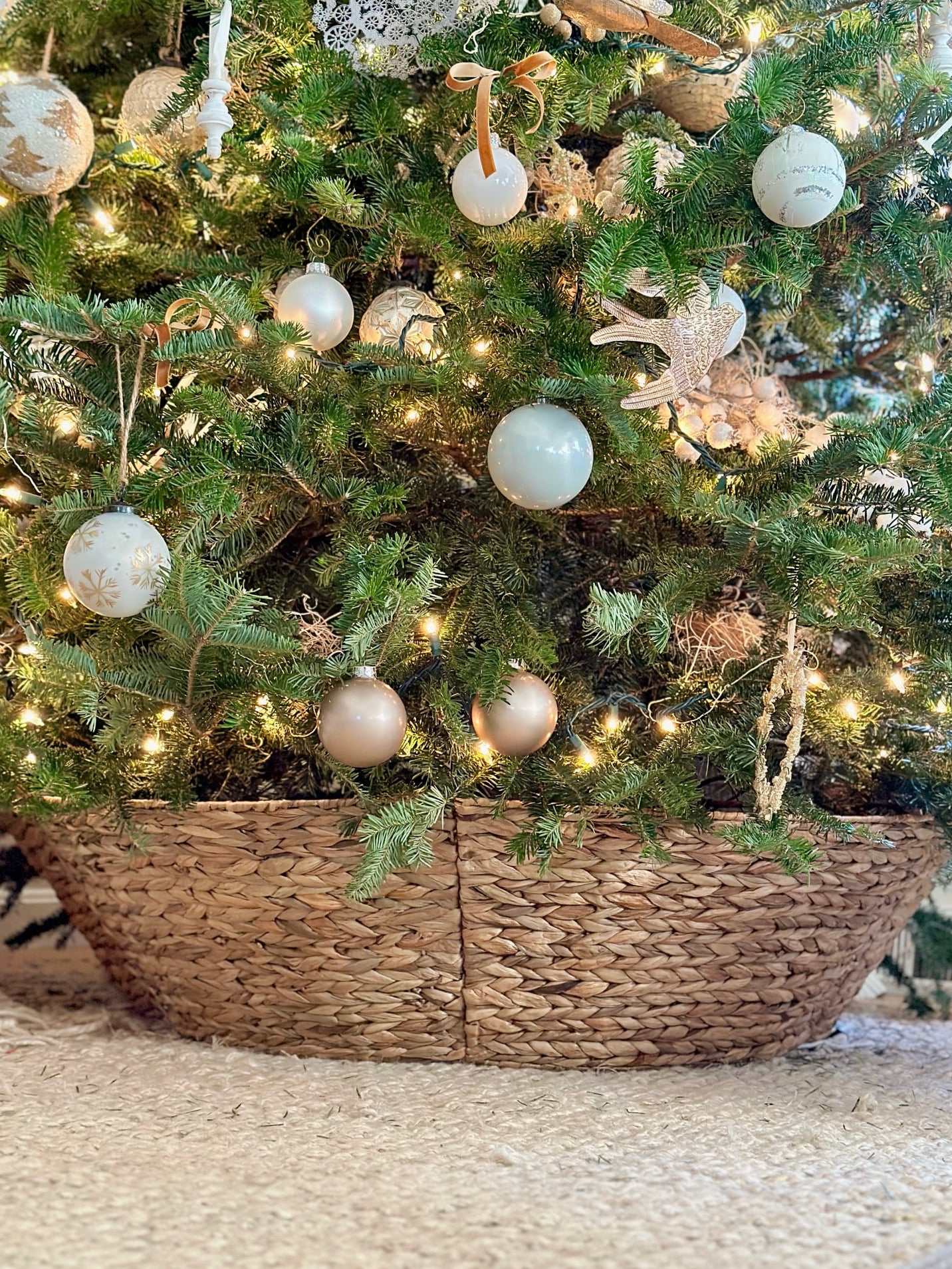 A close up of the tree in the collar turned basket. 