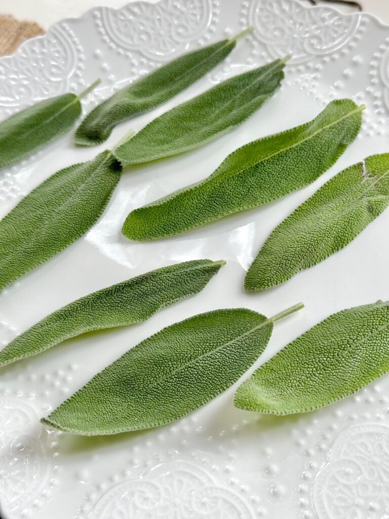 fresh sage leaves on a plate before going in the microwave.