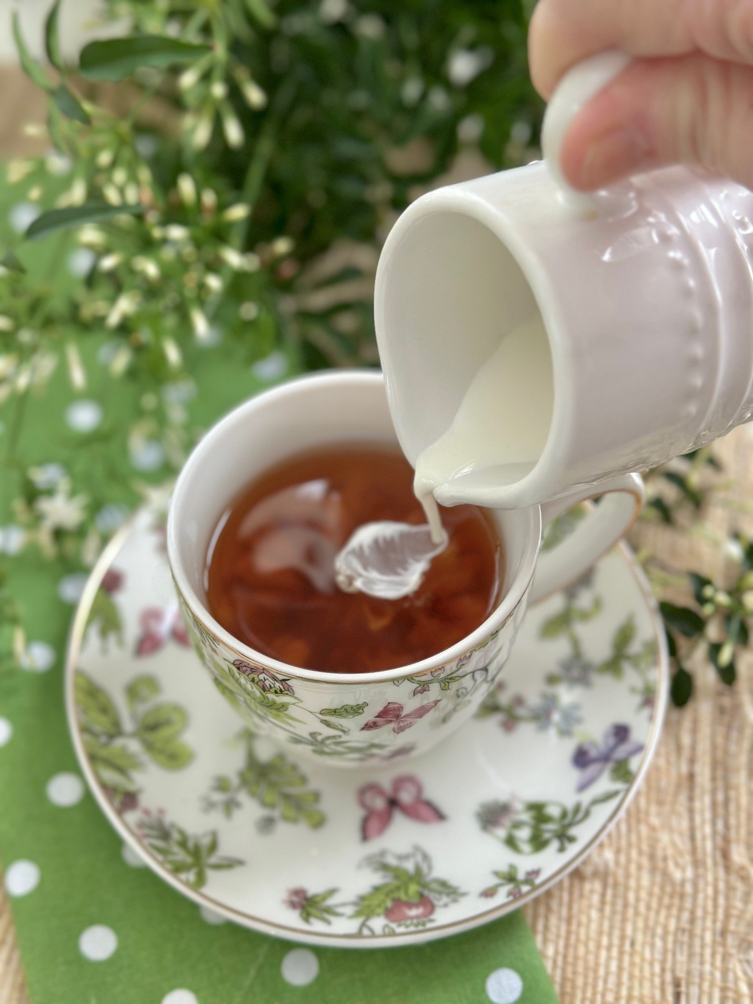 Milk in Tea: Herbal vs. Black Tea Milk Combos