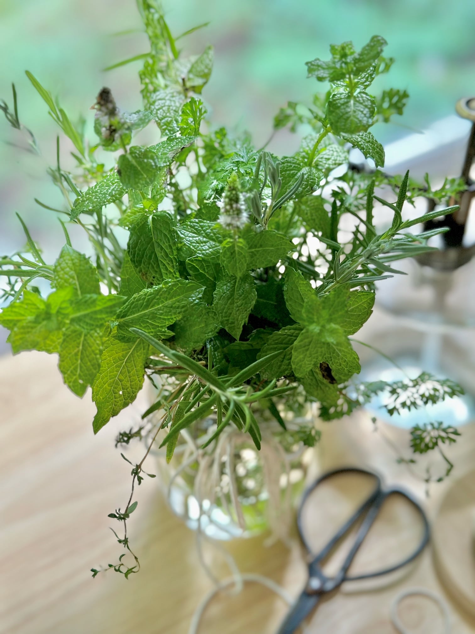 An herb jar gift with an assortment of fresh snipped herbs. 