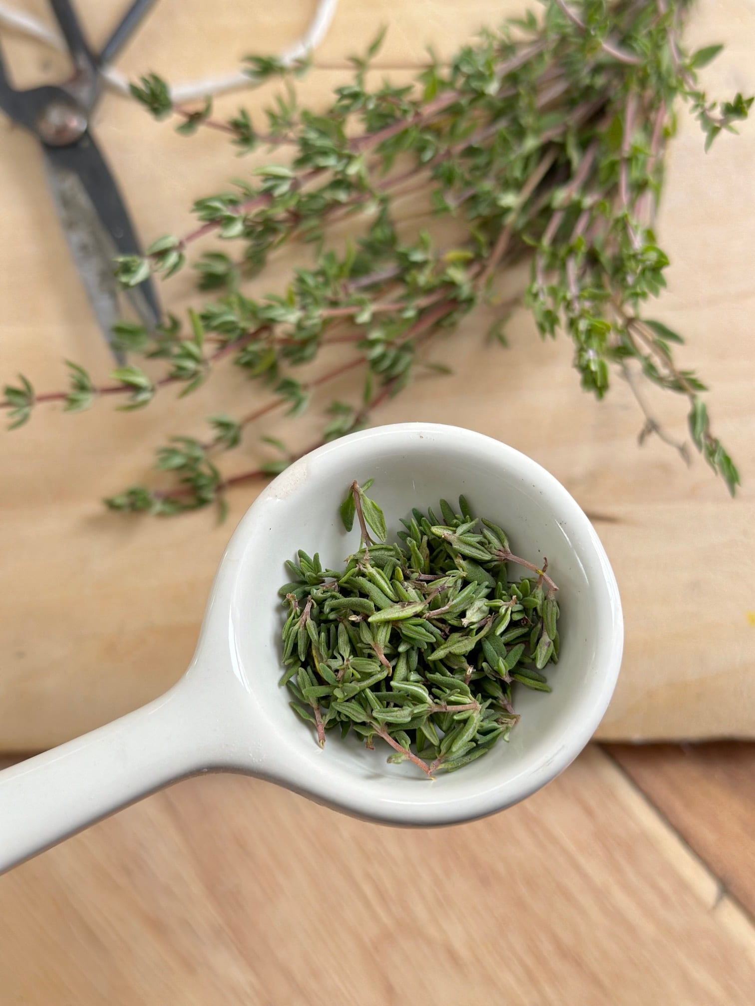 Thyme in a tablespoon measuring spoon. 