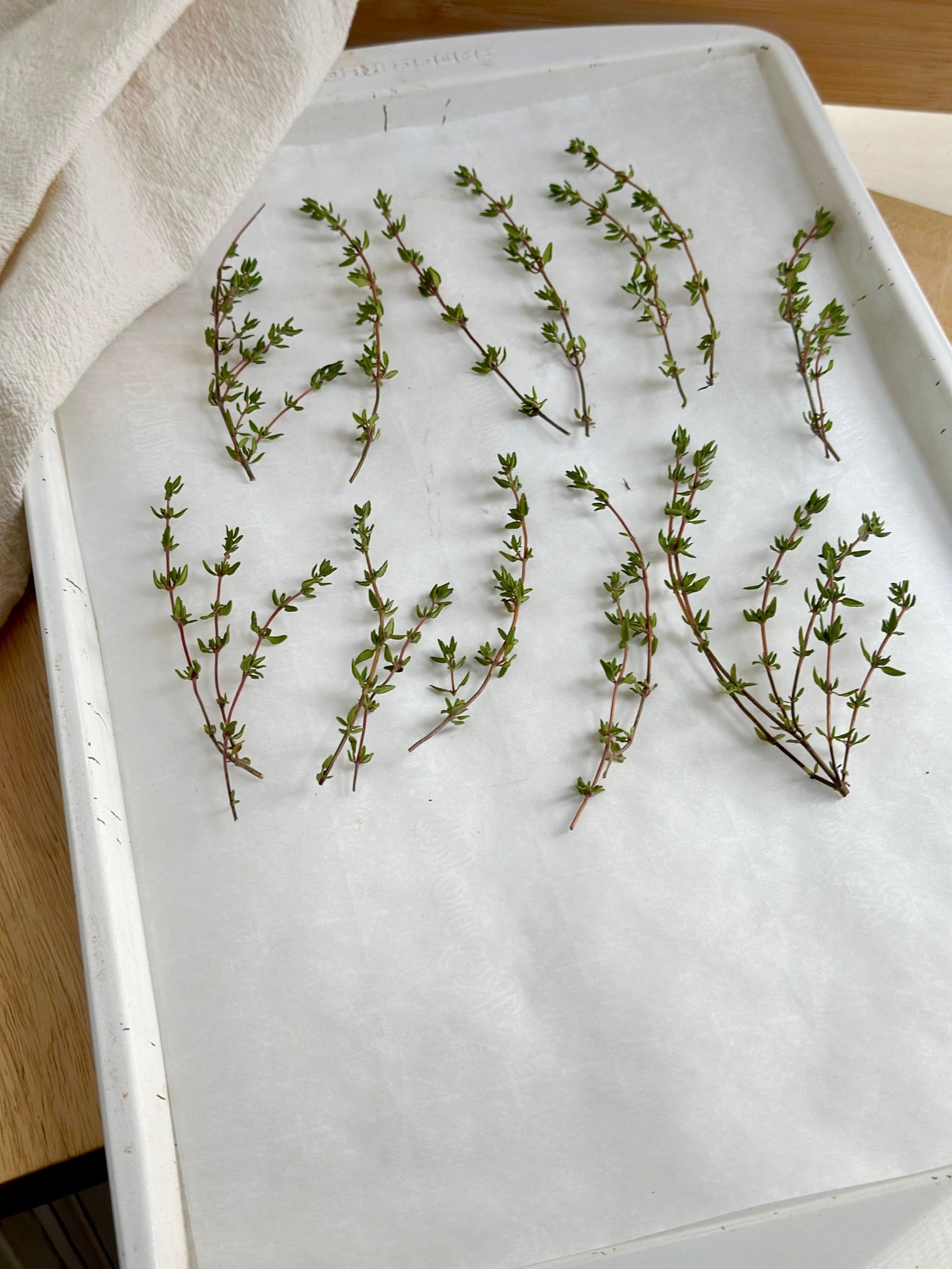 Thyme on a baking sheet covered in parchment paper.