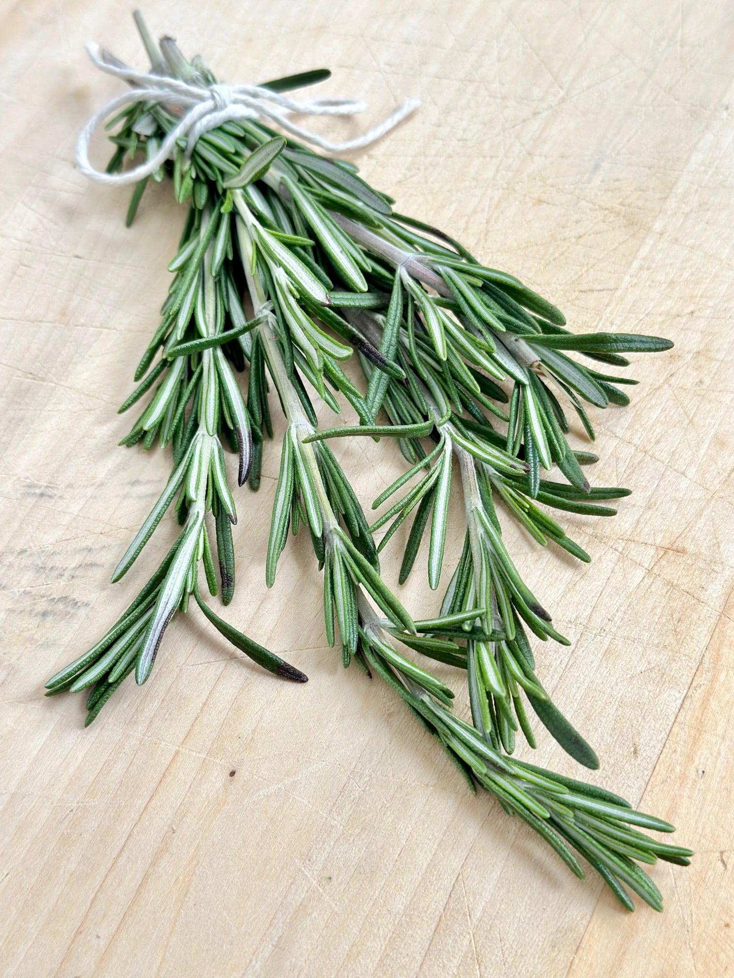 Rosemary bundle on a cutting board. 