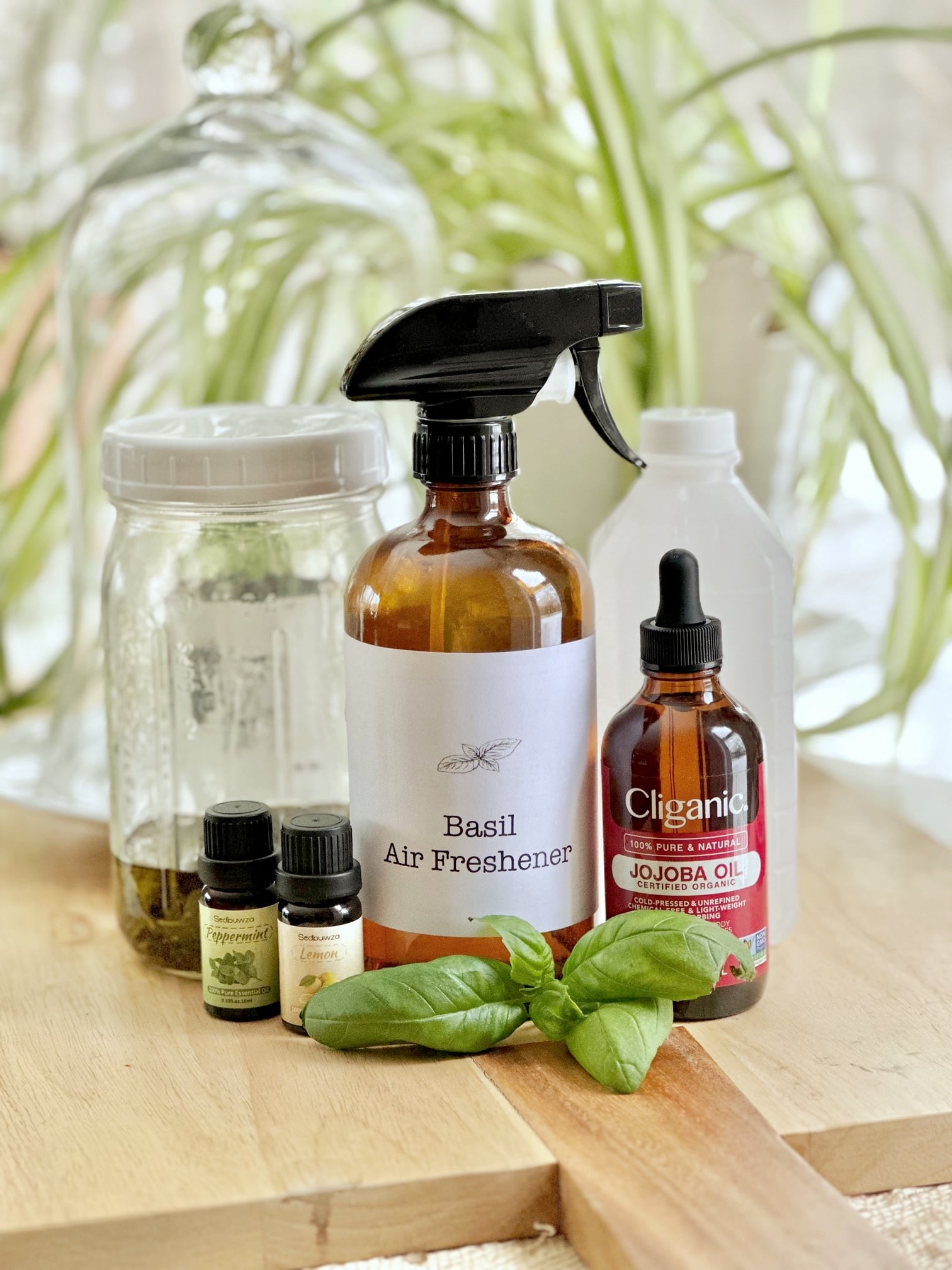 oils, basil, spray bottle and rubbing alcohol. 