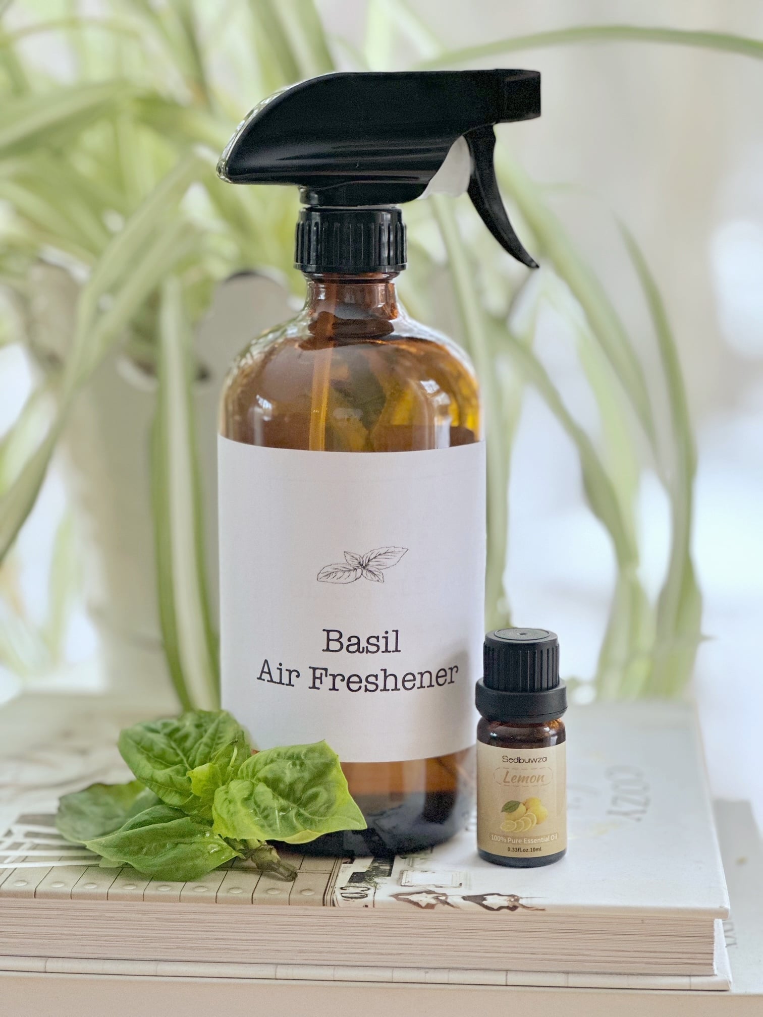 Basil air freshener in a bottle with lemon essential oil. 