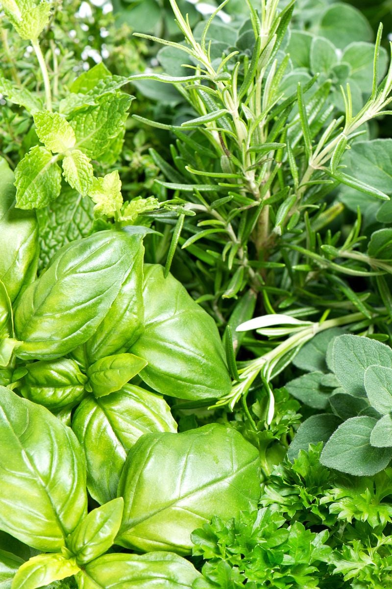 Assorted fresh herbs. 