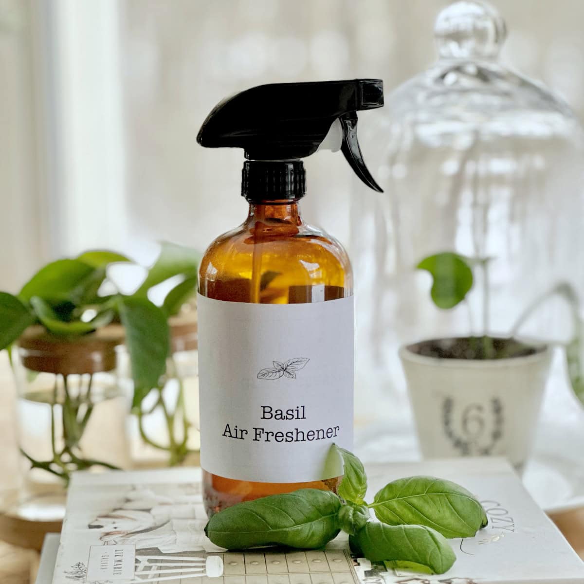 Basil Air Freshener DIY: How to Make Your Home Smell Amazing
