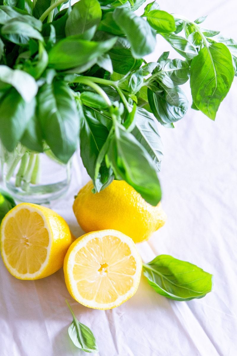Fresh basil leaves with lemons. 