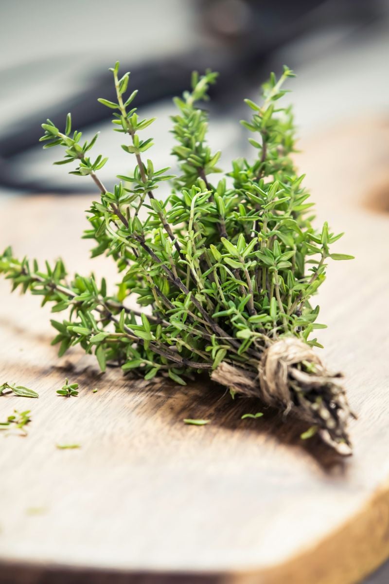 A fresh bundle of fresh thyme tied with twine.