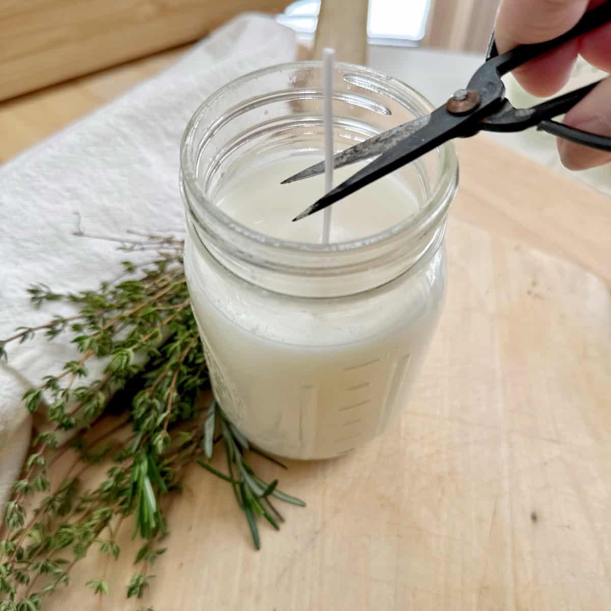 Cutting the wick of a candle. The candle is white and in a jar. There is a cluster of herbs next to it.