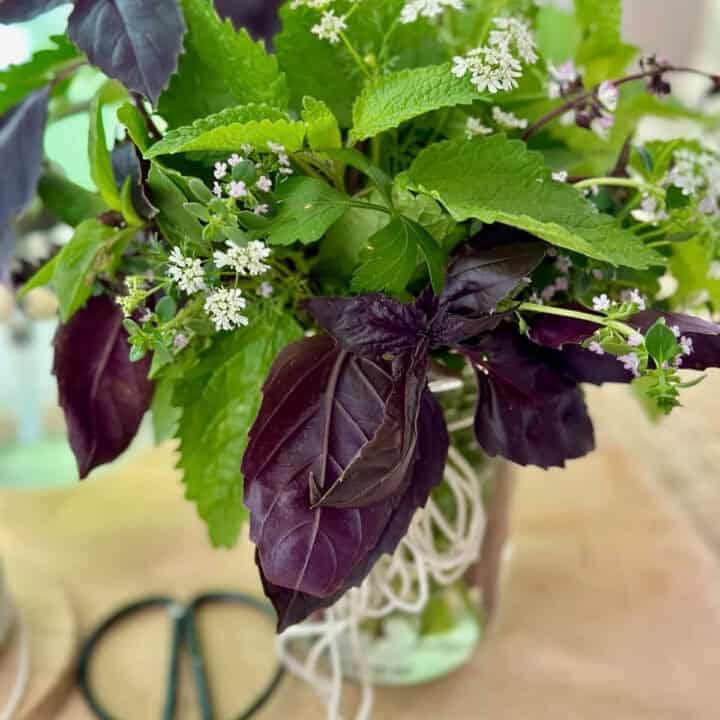 Herb gift jar. Mixed herbs in a glass jar.