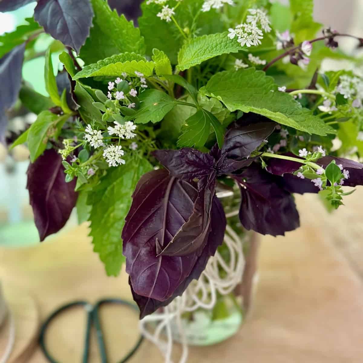 Easy DIY Herb Jar Gifts From Your Garden