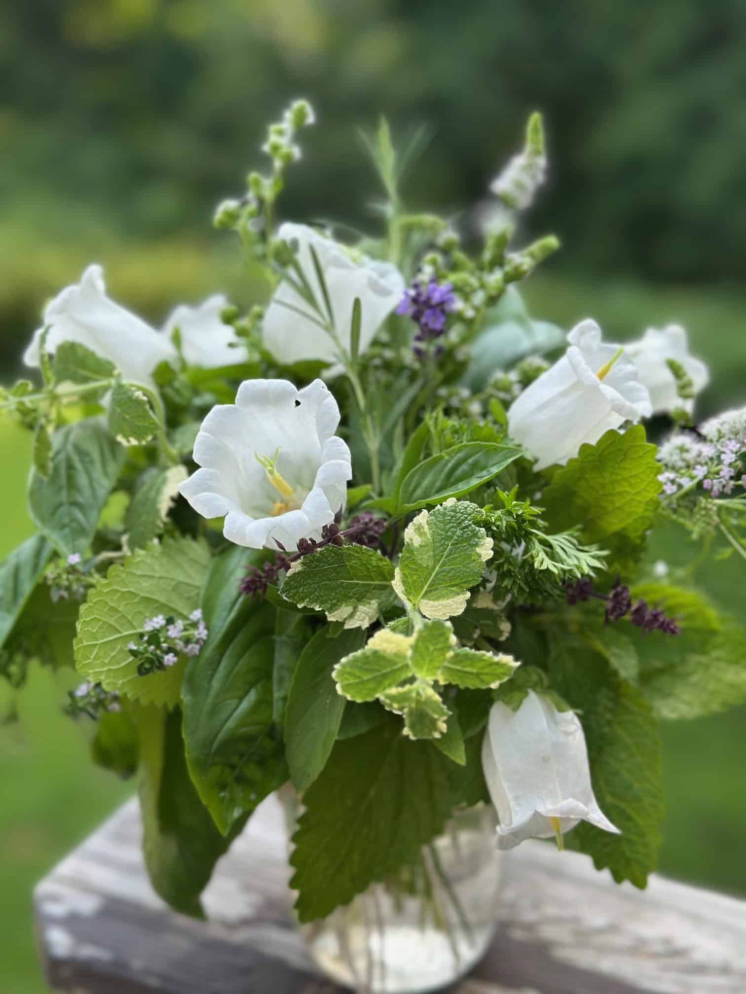 Fresh cut Herbs from my garden arranged in a ball jar. I added white blooms. 