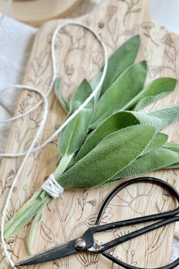 Sage grouped on a cutting board with scissors.