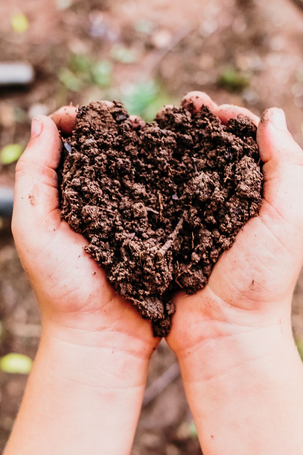 Hands holding the soil. The hands are held in a heart shape. 