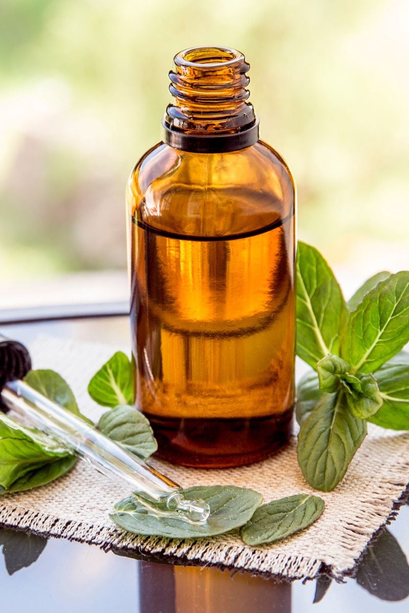 Peppermint leaves and a bottle of peppermint essential oil. 