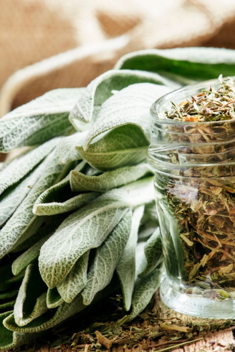 dried sage in a jar.