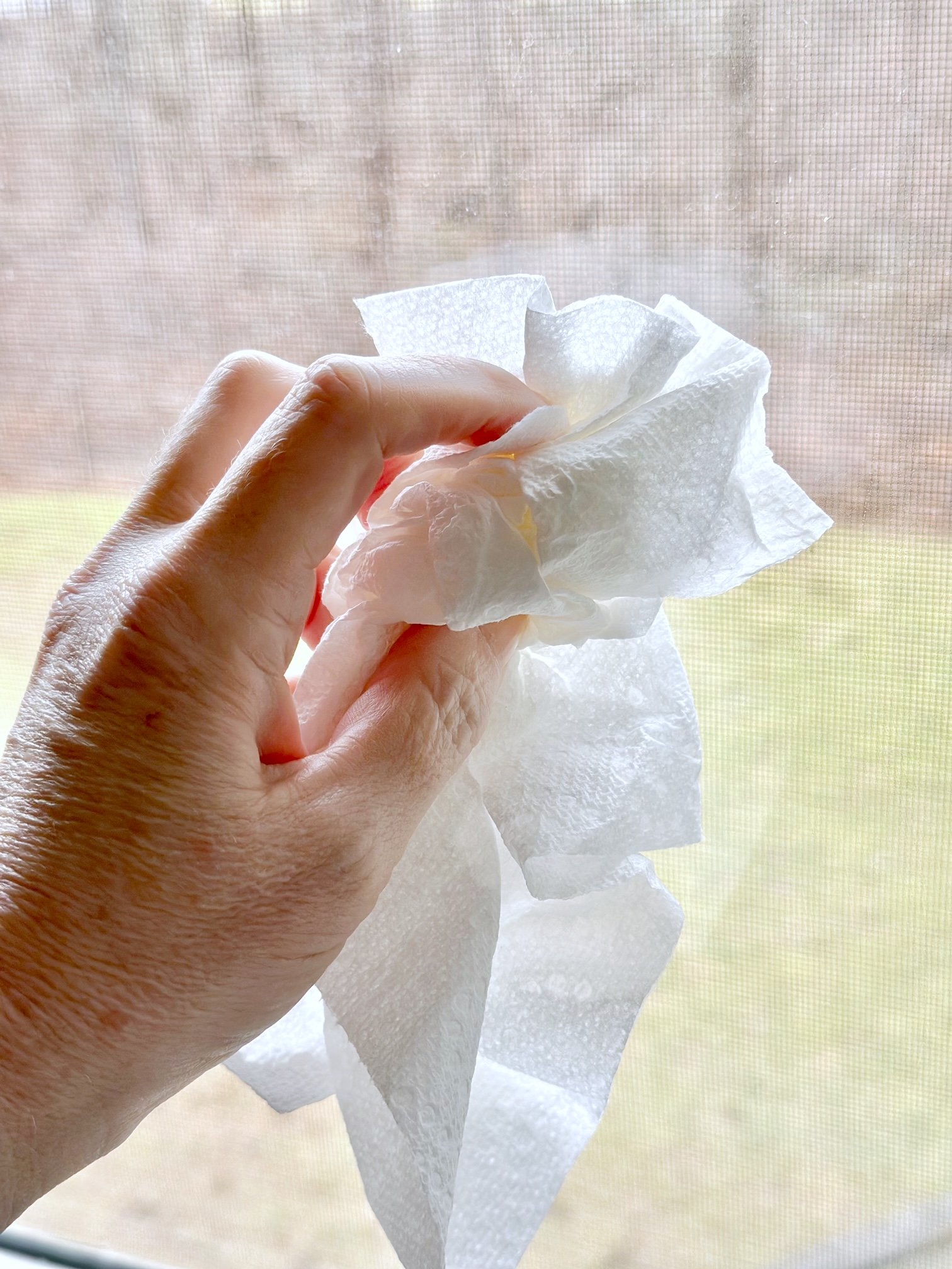 my hand with a paper towel wiping a window. 