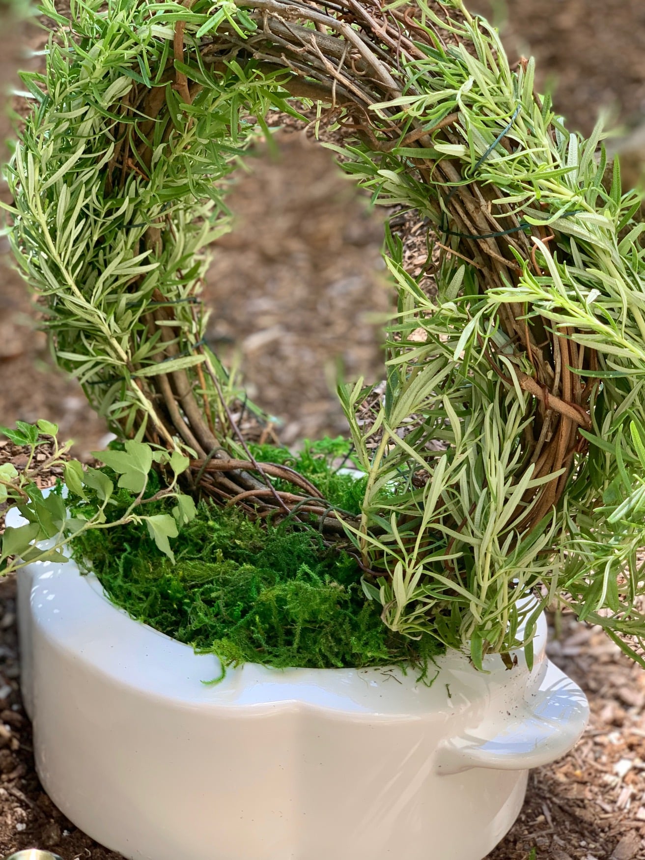 Rosemary topiary made with a grapevine wreath.