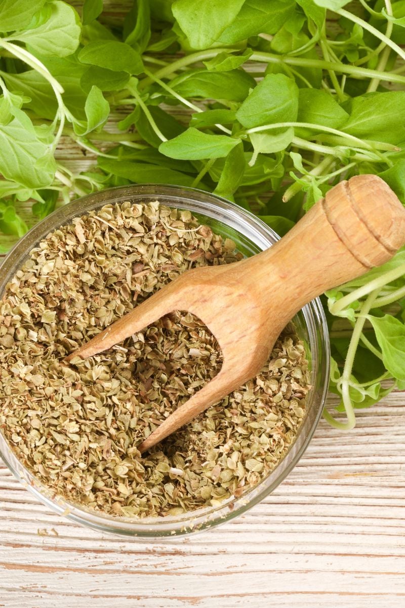oregano plant with dried oregano.