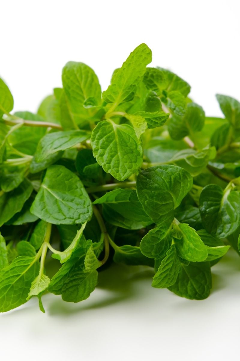a pile of mint leaves. 