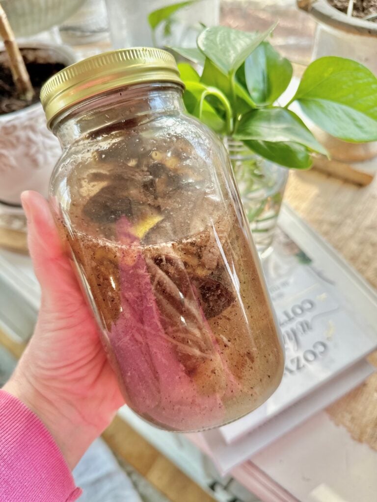 bananas in water in a jar.