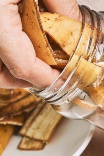 The best fertilizer for basil includes banana peels.