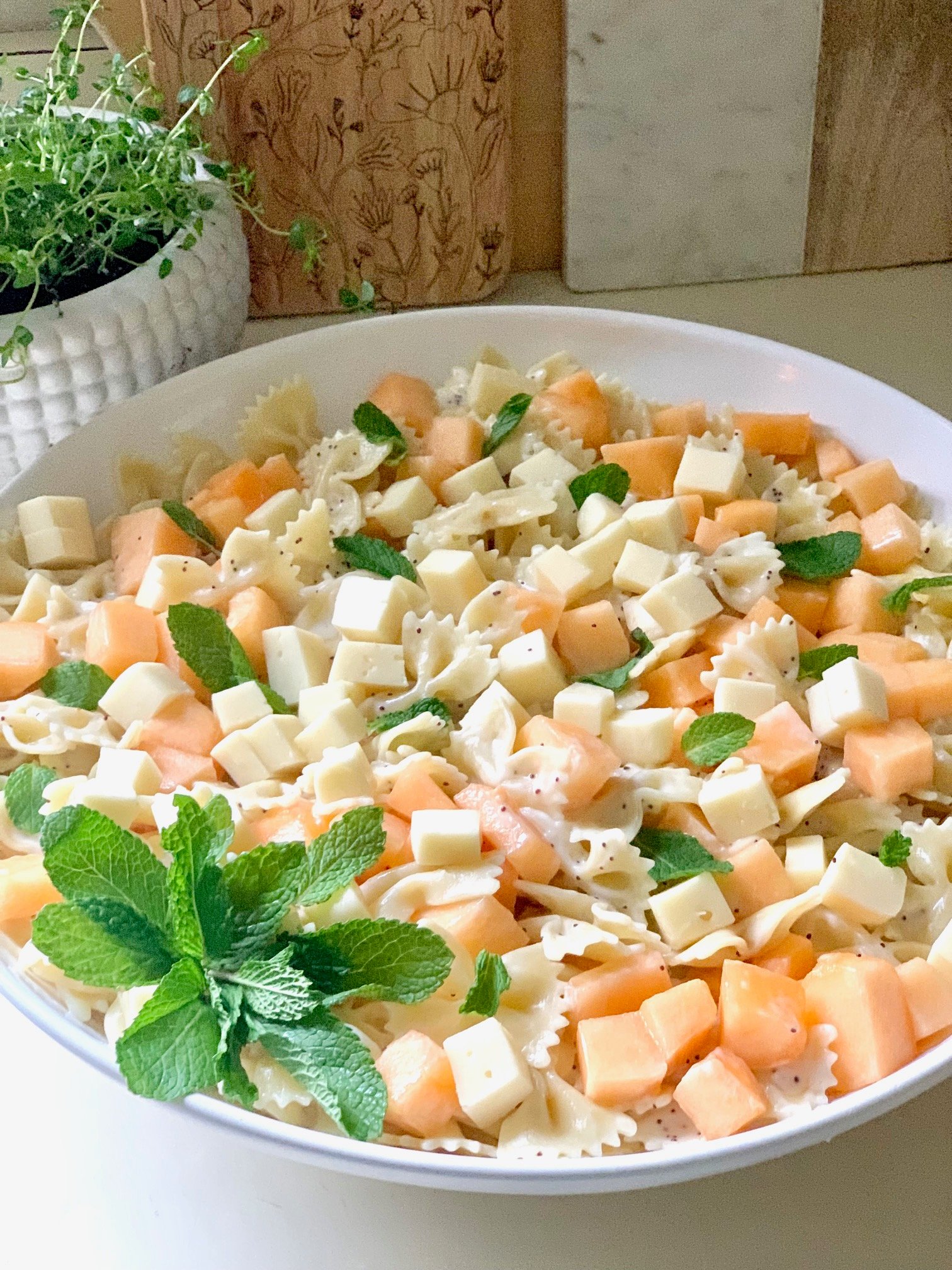 A bight colorful pasta salad featuring bow tie pasta, fontina cheese cube, cantaloup, and fresh mint. 