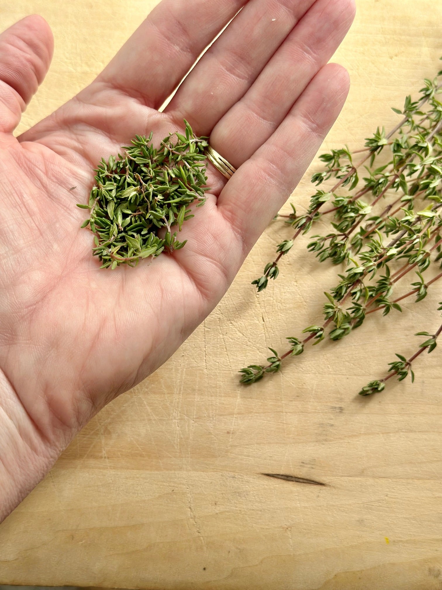 My hand holding fresh thyme leaves with thyme stems in the background. 