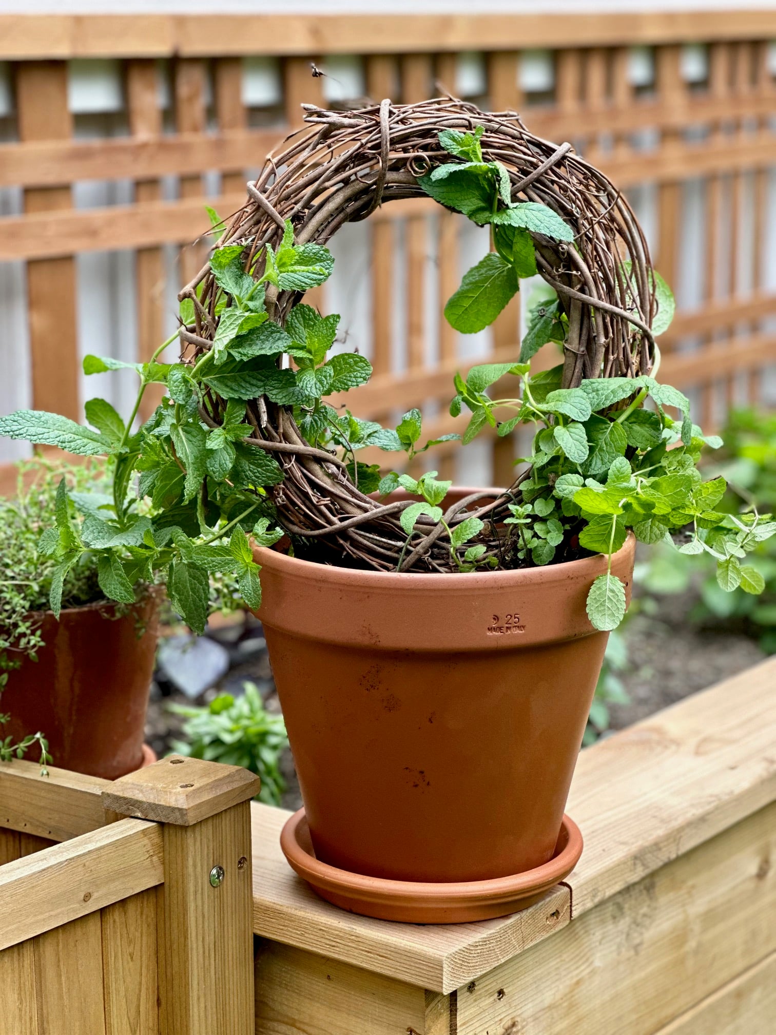 A full view of the completed topiary. 