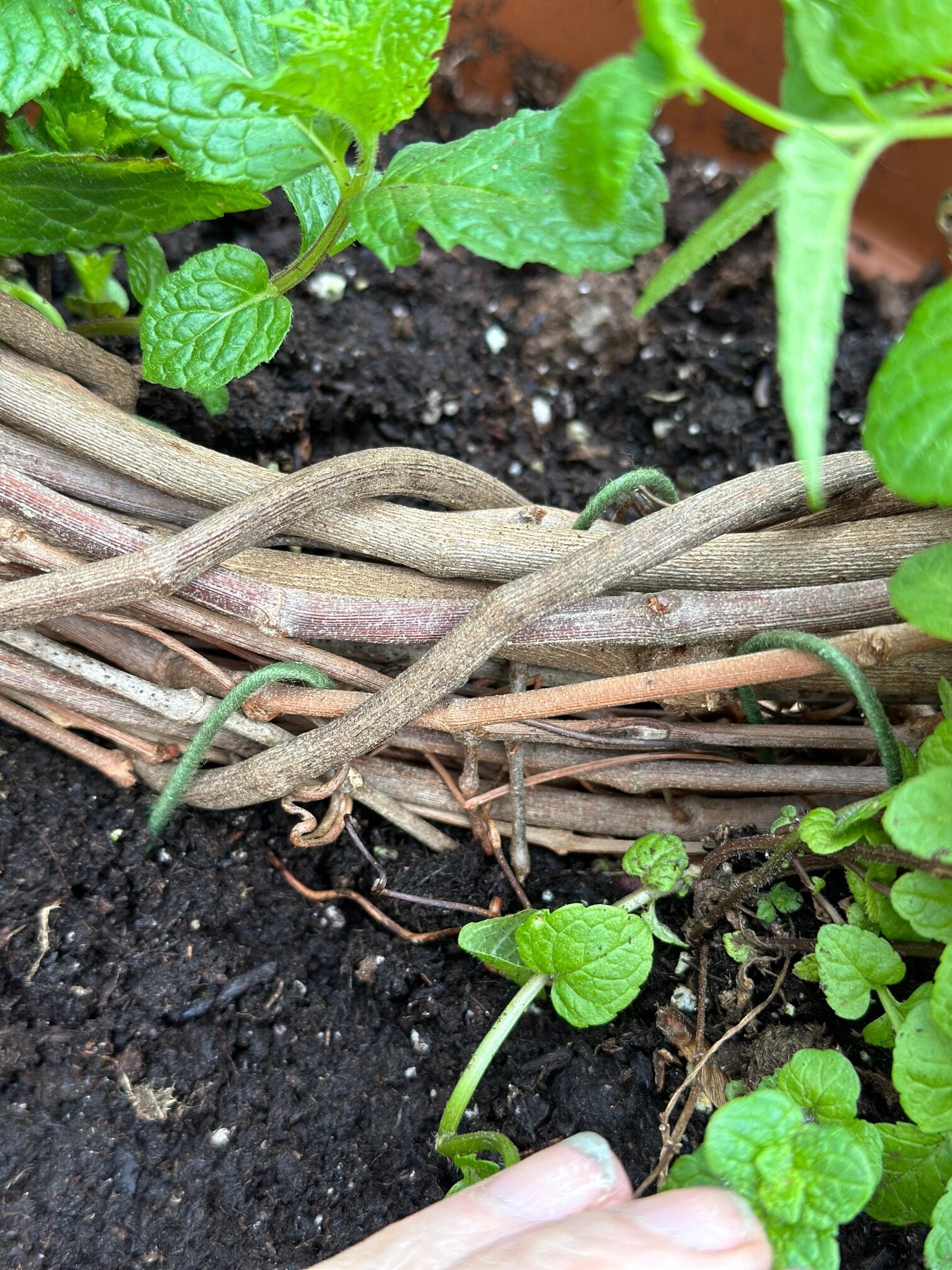 A close up of the wire u-shapes holding the wreath. 