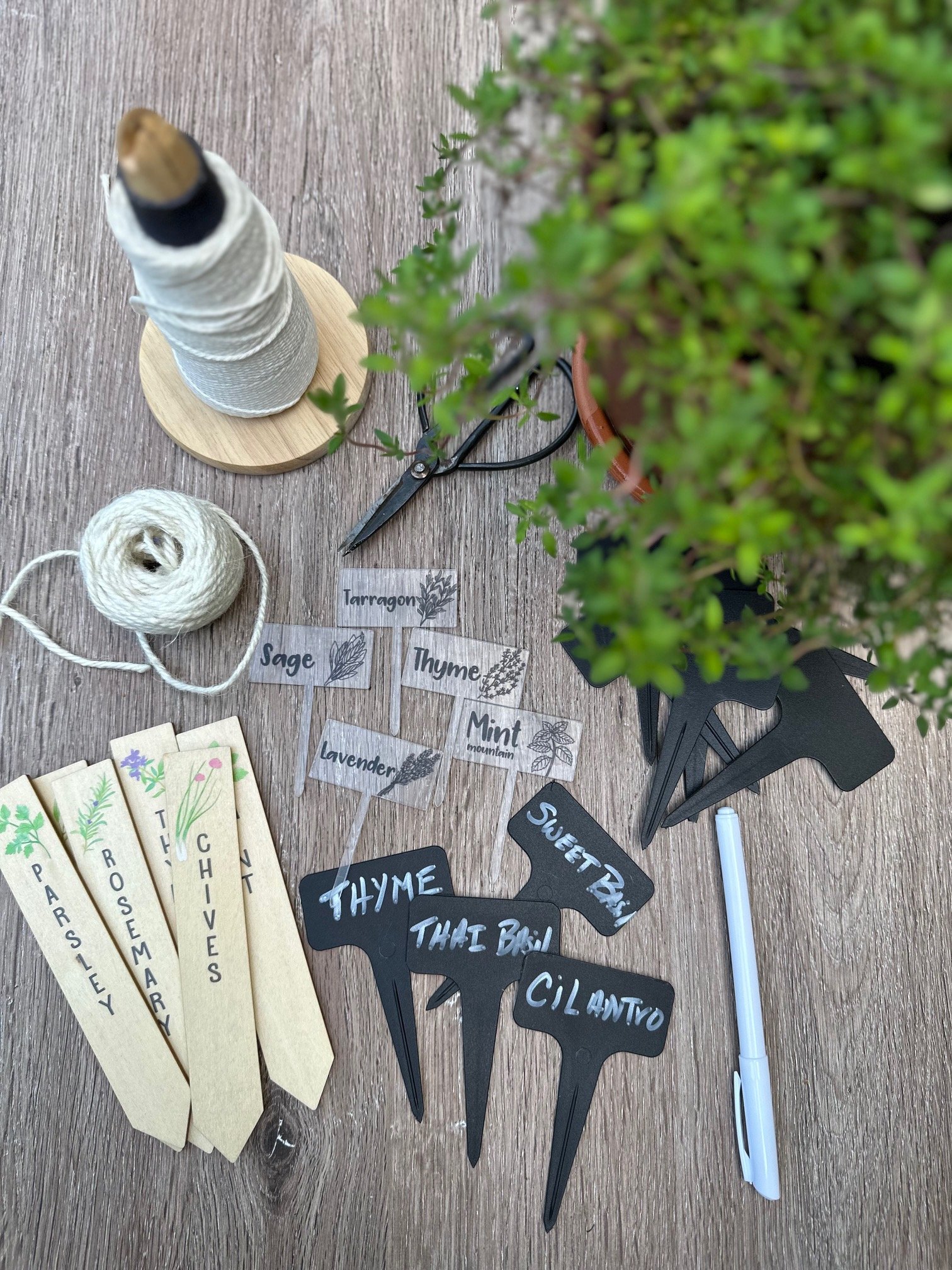 The Top 25 Herb Garden Markers to Keep Your Plants Organized