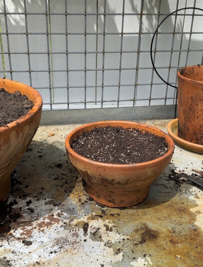 A smaller bowl style clay pot with soil. 