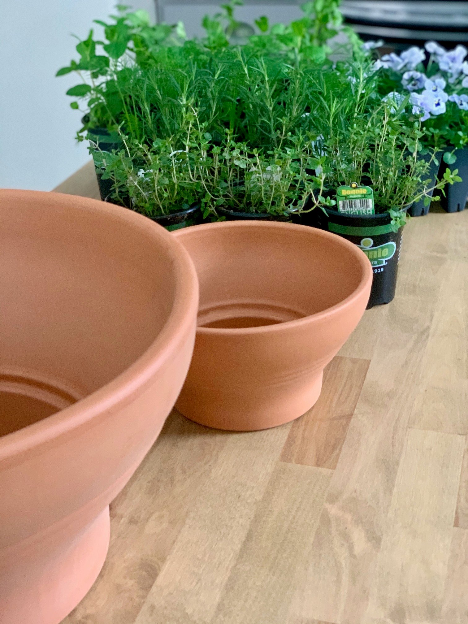 The two clay pots i used with plants. 