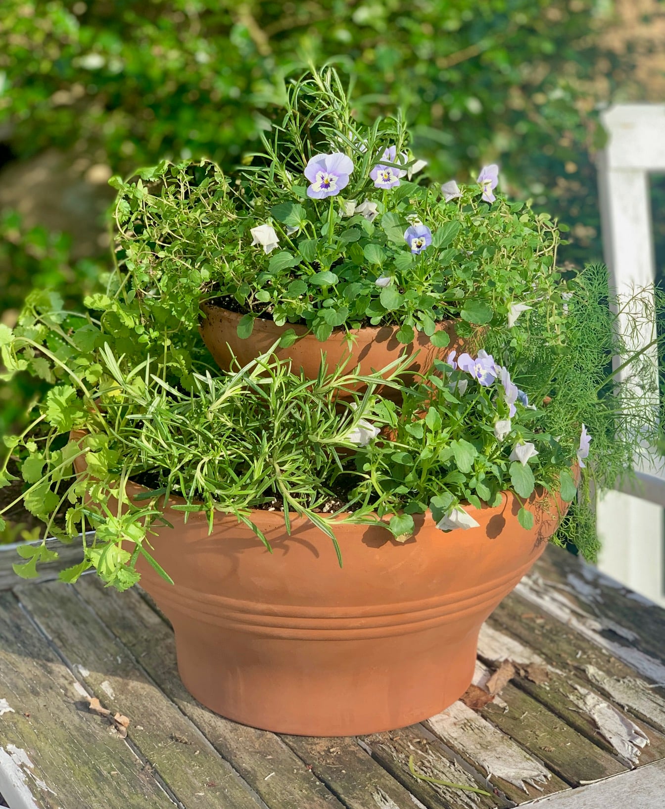 A photo of this original two tiered planter with herbs and pansies. 
