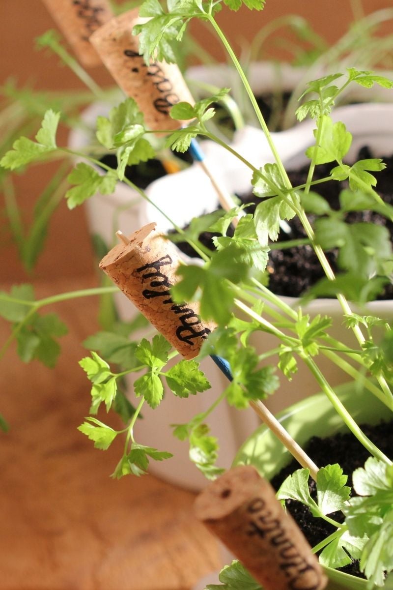 DIY cork herb garden labels.