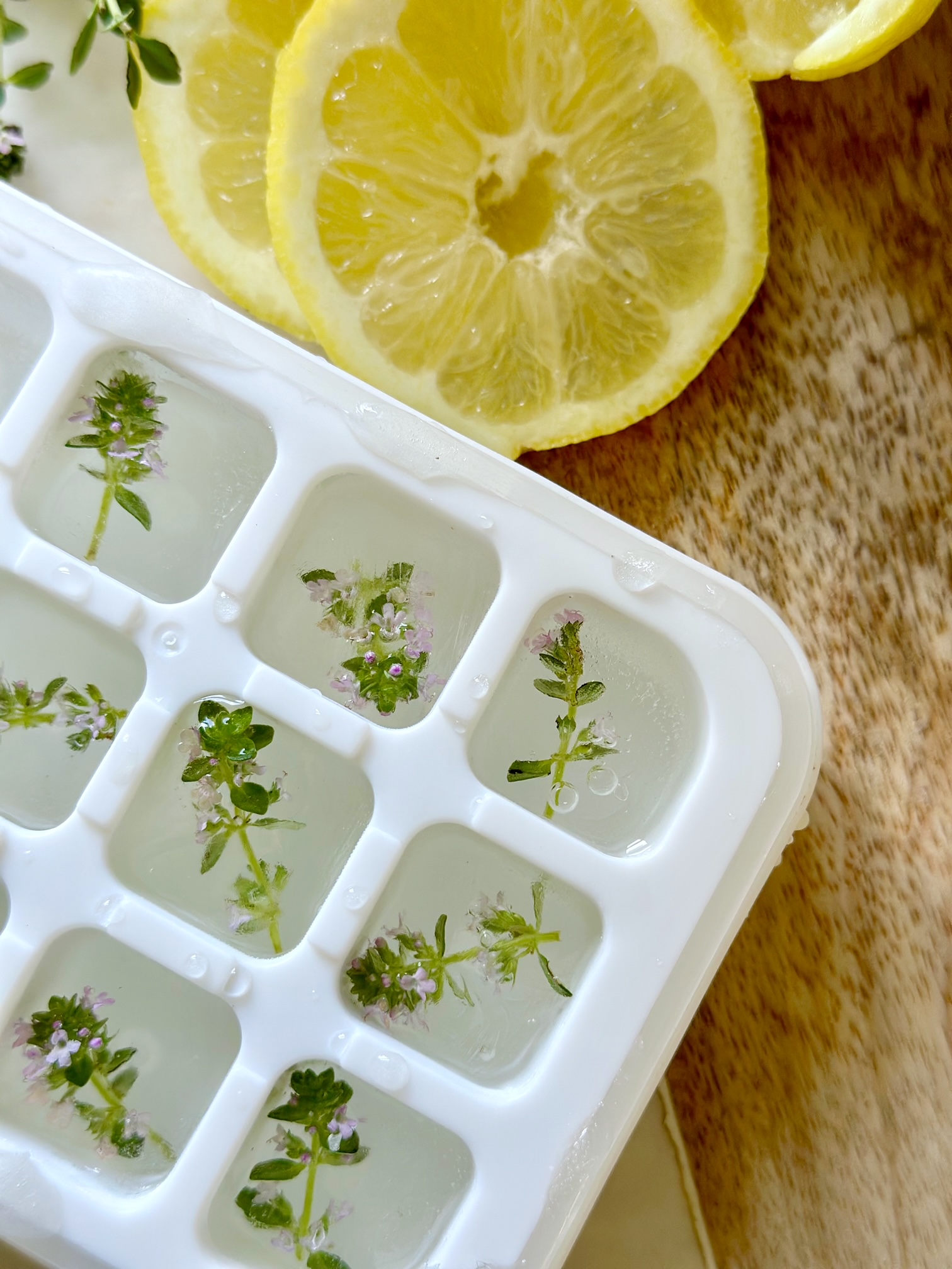 Thyme ice cubes in a white ice cube tray.