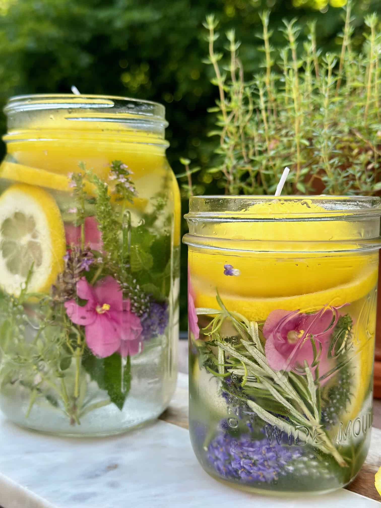 Crafting Mason Jar Mosquito Repellents from Your Garden