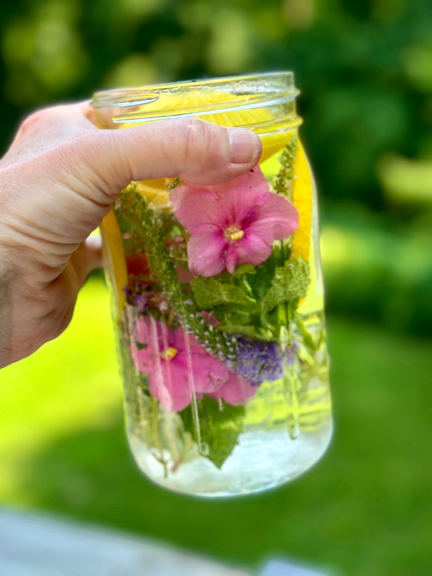 holding the jar filled with pretty herbs, flowers and sliced lemons.