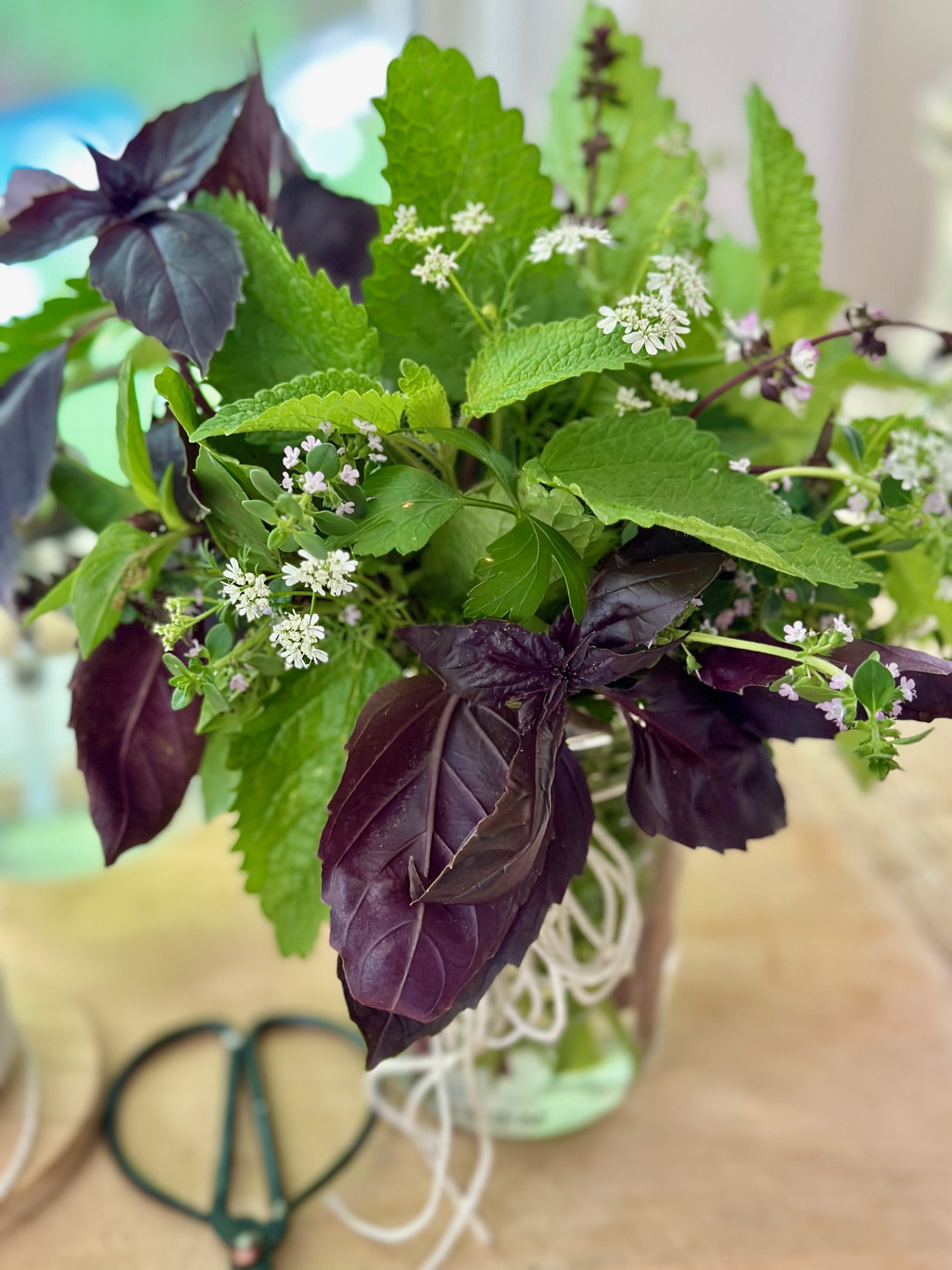 An herb jar filled with fresh herbs.
