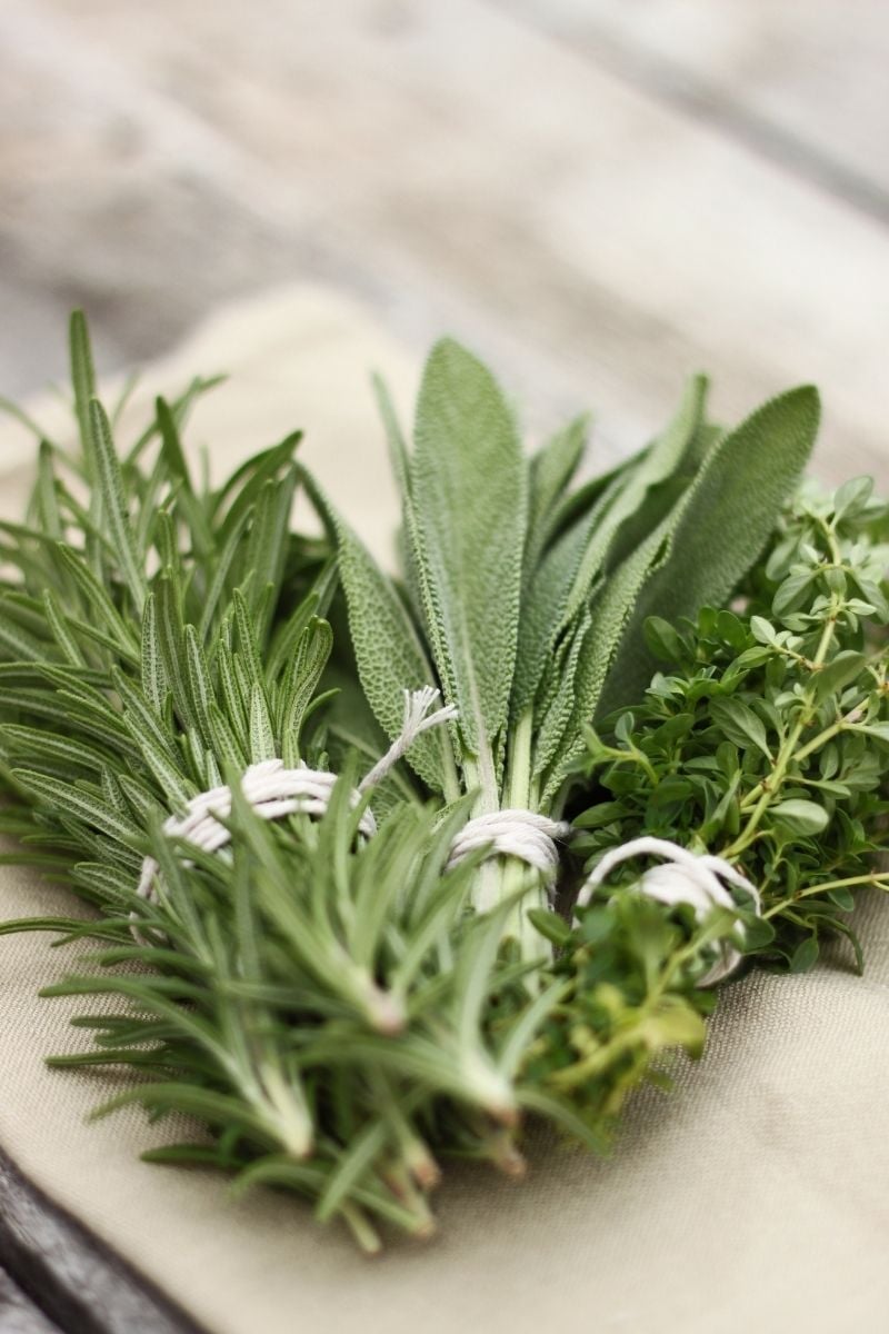 bundles of herbs bought from a farmers market. 