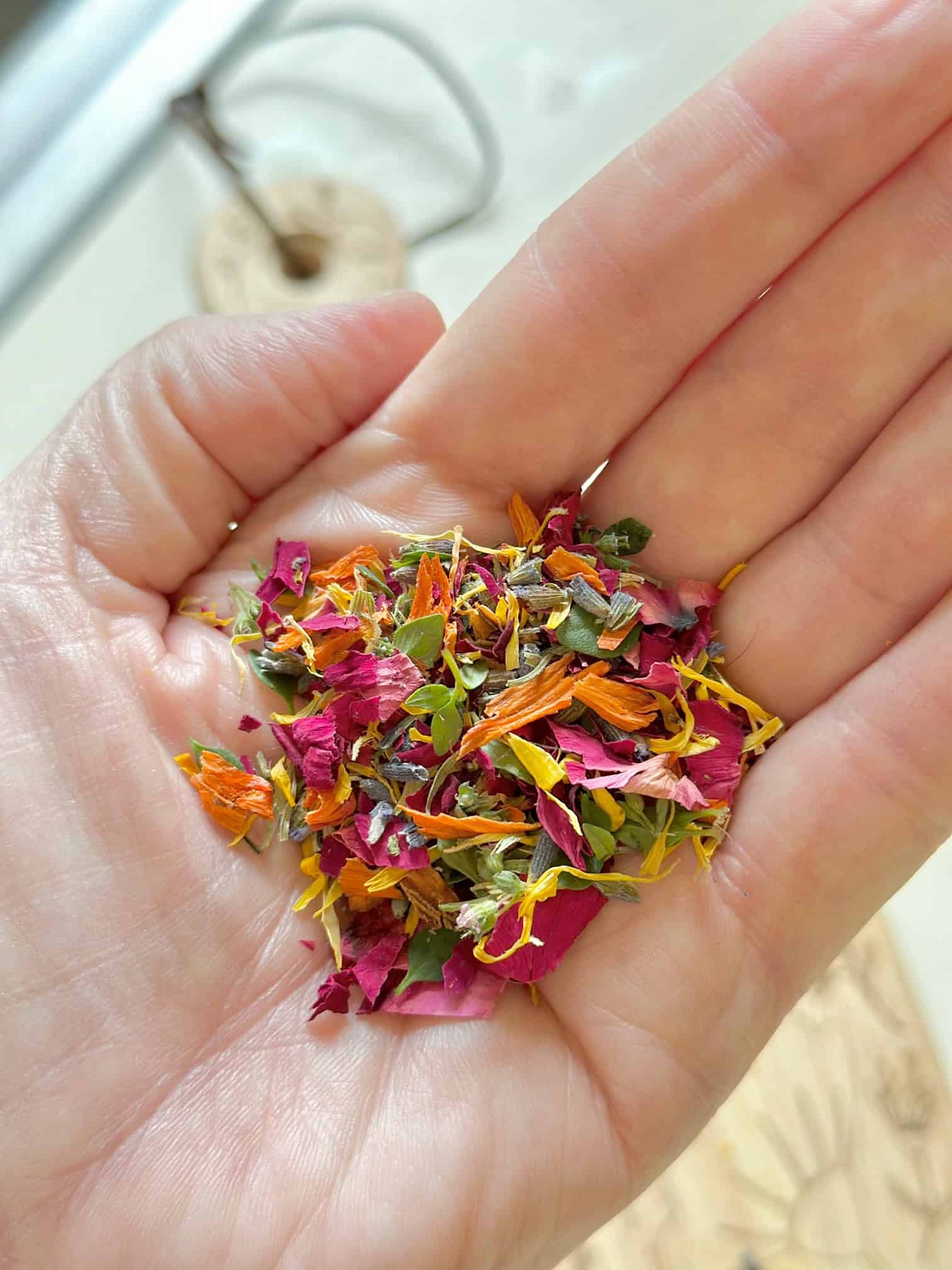 Dried flowers in my hand. Reds, orange, purple and yellows for a confetti look.