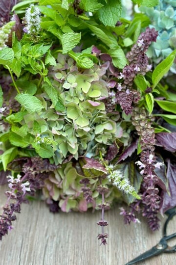 A hand tied bouquet of flowering herbs mixed with cut hydrangea.