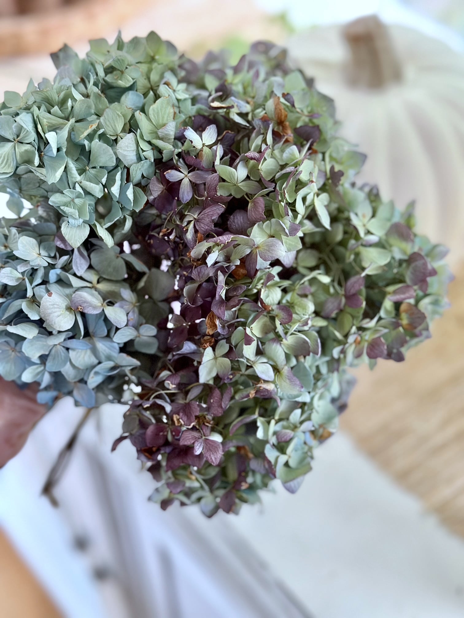 A bunch of dried blue hydrangea.