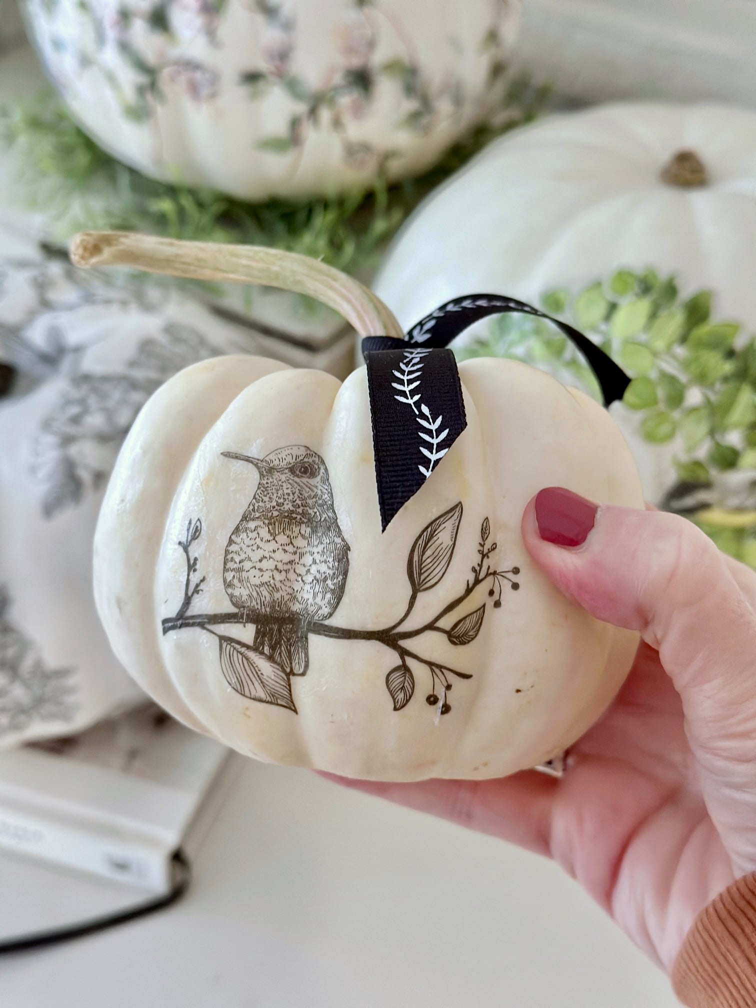 Me holding a mini white pumpkin with a black bird and ribbon. 