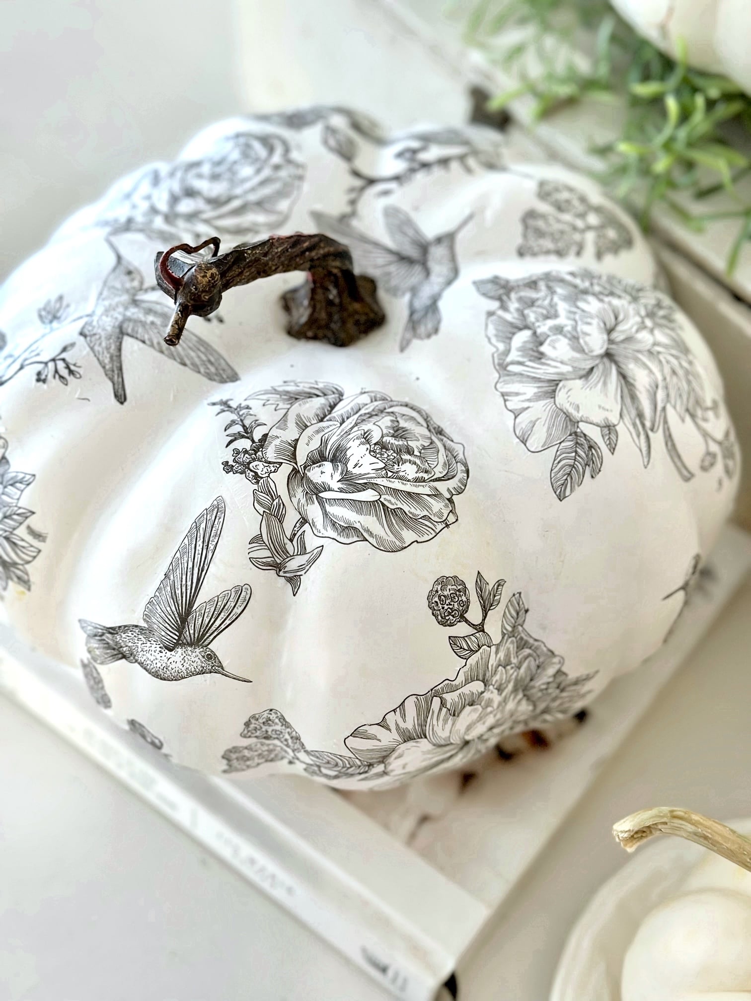 Black and white botanical cut-out decoupage pumpkin