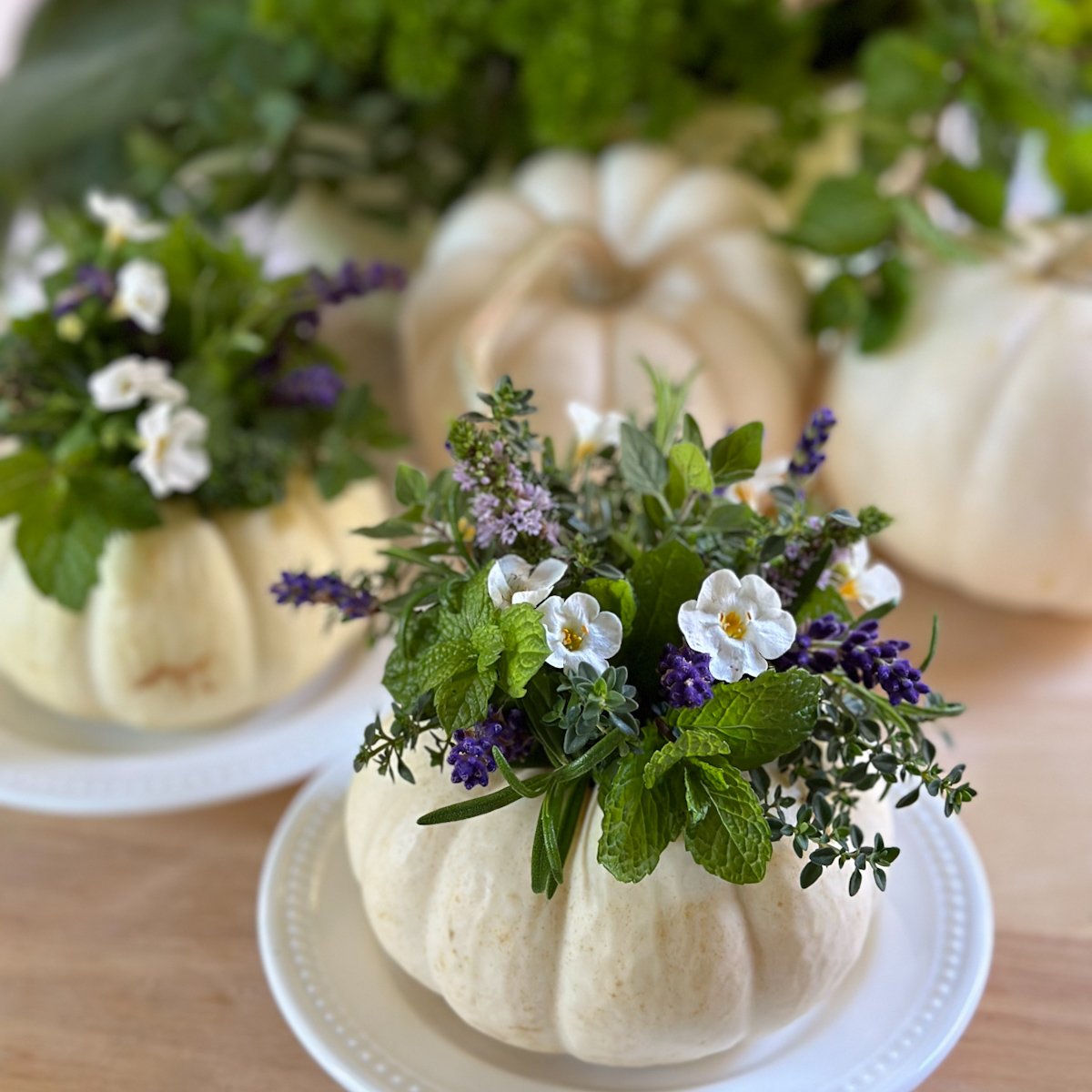 DIY Pumpkin Floral Arrangements with Garden Herbs